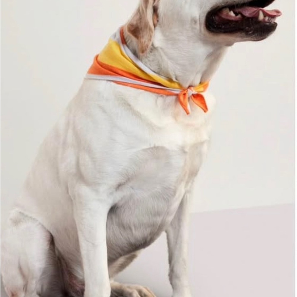 Old Navy Vibrant Orange and Yellow Candy Corn Pet Bandana